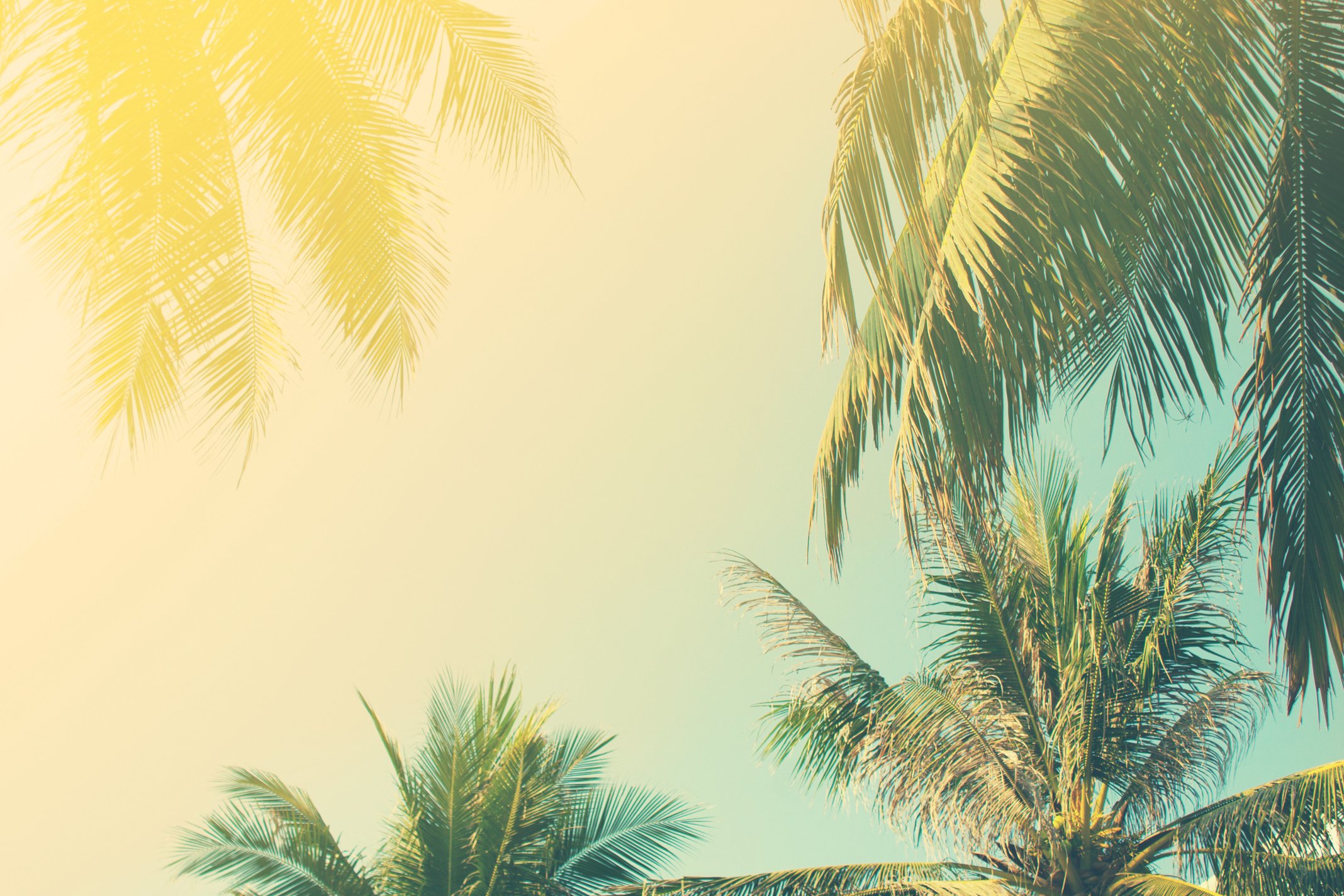 Tropical background